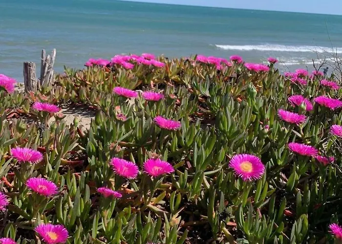 Héliopolis Naturist Luxury *